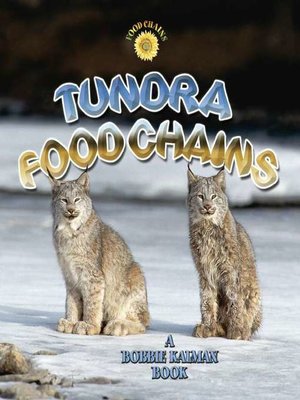 cover image of Tundra Food Chains